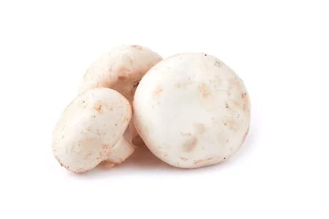 Mushroom Stock Photos