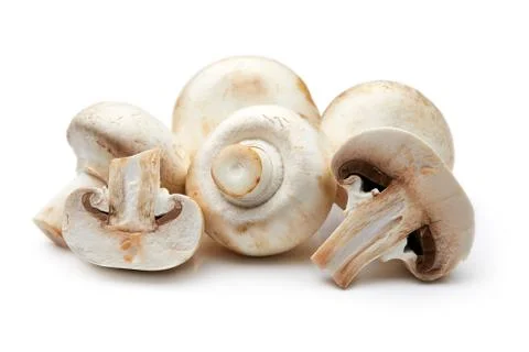 Mushroom Foto stock