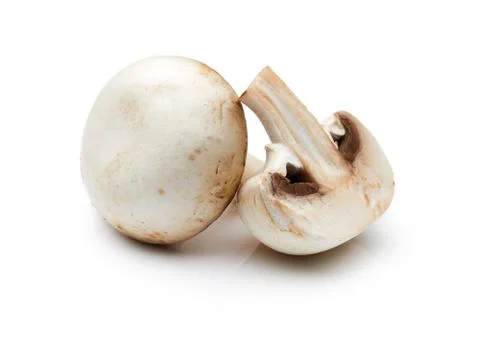 Mushroom Stock Photos