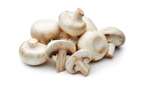 Mushroom Stock Photos