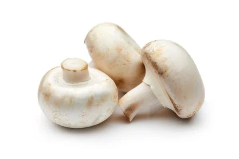 Mushroom Stock Photos