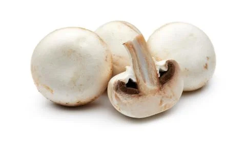 Mushroom Foto stock