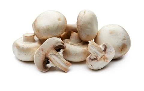 Mushroom Stock Photos