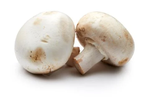 Mushroom Stock Photos