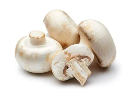 Mushroom Stock Photos