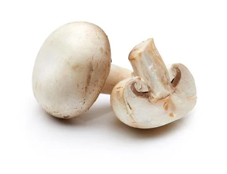 Mushroom Stock Photos