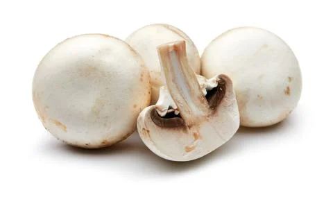 Mushroom Stock Photos