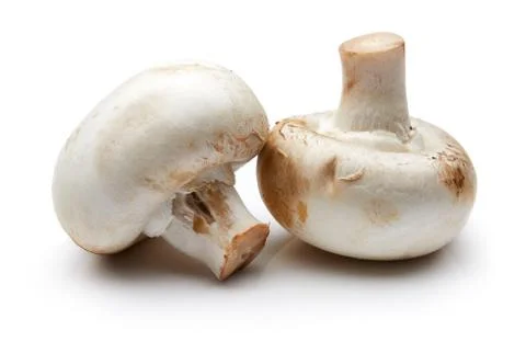 Mushroom Stock Photos