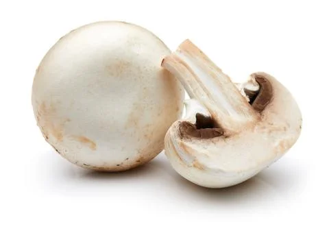 Mushroom Foto stock