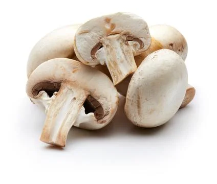 Mushroom Foto stock