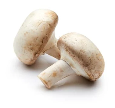 Mushroom Stock Photos