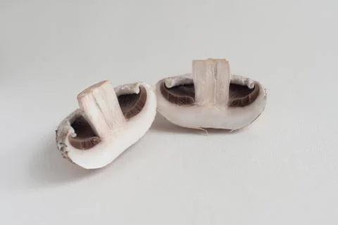 Mushroom Stock Photos