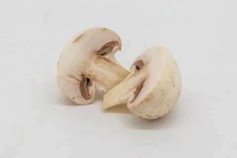 A Mushroom Stock Photos