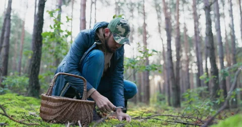 Mushroom picker dressed in jacket and helmet walking in forest leaning close to Stock Footage 169558301