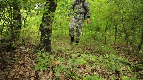 A mushroom picker walks through a dense green forest, sits down and cuts mushroo Stock Footage 113935924