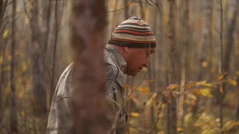 Mushroom picker walks through the forest with a basket and looks for mushrooms Stock Footage 124208840