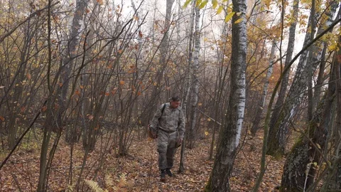 Mushroom picker walks through the forest with a basket and looks for mushrooms Stock Footage 124209075