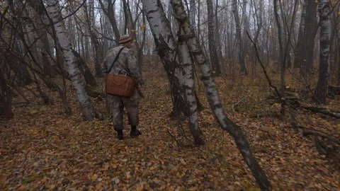 Mushroom picker walks through the forest with a basket and looks for mushrooms Stock Footage 124209462