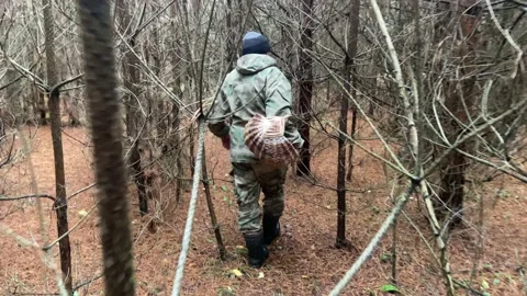 A mushroom picker walks through the forest with a basket. Stock Footage 233083513