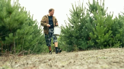 Mushroom picking in the forest Stock Footage 56176193