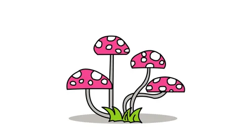 Mushroom Plant Stock Footage 329781315