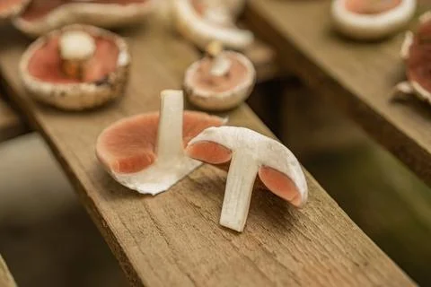 Mushroom processing. mushrooms on a wooden background. cut mushrooms. Champig Foto stock