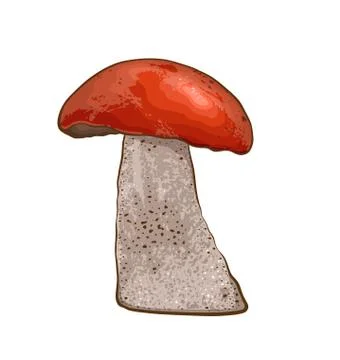 Mushroom with red cap Stock Illustration