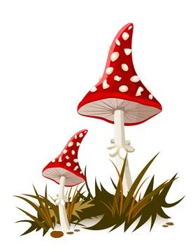 Mushroom with a red cap Stock Illustration