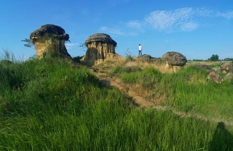 Mushroom Rock, Gresik, East Java, Indonesia Stock Photos
