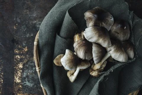Mushroom on rustic background Stock Photos