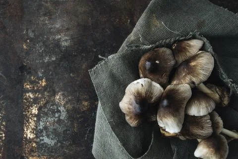 Mushroom on rustic background Stock Photos