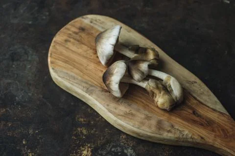 Mushroom on rustic background Foto stock
