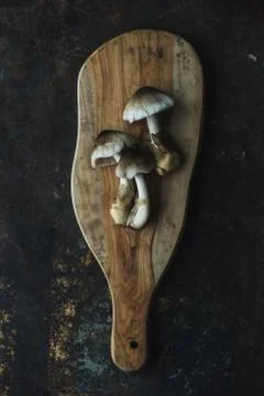 Mushroom on rustic background Stock Photos