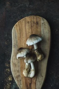 Mushroom on rustic background Stock Photos
