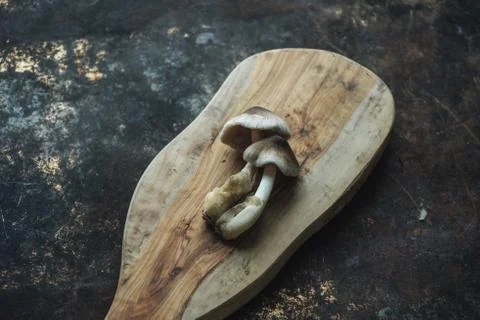 Mushroom on rustic background Stock Photos