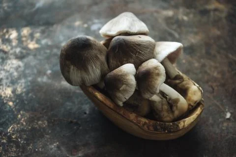 Mushroom on rustic background Stock Photos