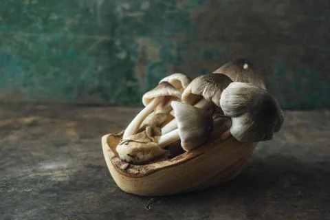 Mushroom on rustic background Stock Photos