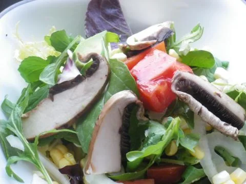 Mushroom Salad 写真素材