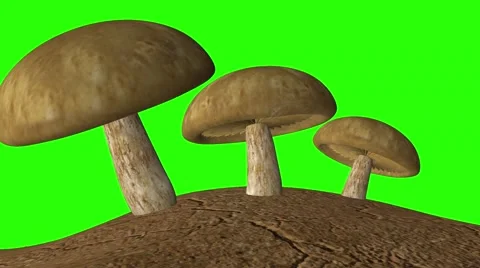 Mushroom scene in an animation in computer graphics Stock Footage 56354649