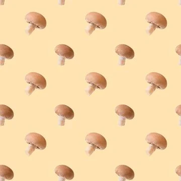 Mushroom seamless pattern on beige background 库存照片