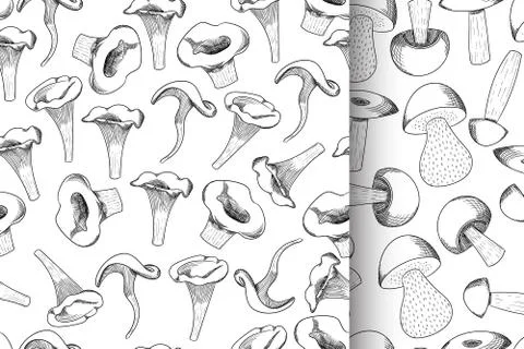 Mushroom seamless pattern set hand drawn sketch vector illustration. Mushroom Illustrazione stock