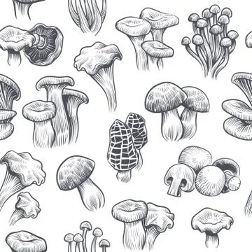 Mushroom seamless pattern. Sketch various mushrooms truffle and champignon Stock Illustration