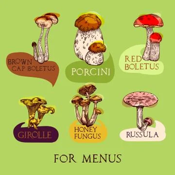 Mushroom set Stock Illustration