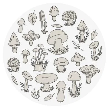 Mushroom set illustrations in circle, round Stock Illustration