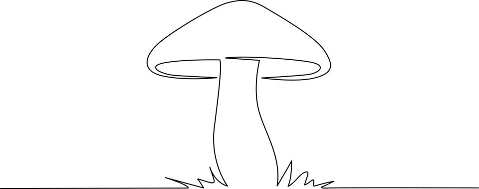 Mushroom in simple line drawing Vector Stock Illustration