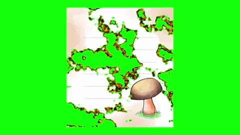 Mushroom Sitting Isolated Green Screen Stock Video Stock Footage 337990776