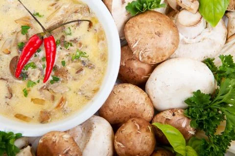 Mushroom soup Foto stock