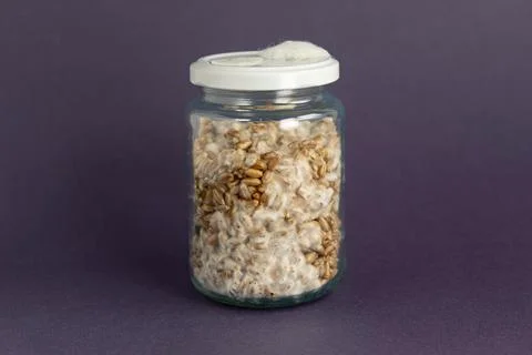Mushroom Spawn. Jars of Grain Spawn. Close-up mycelium growth on Grain Spawn. Stock Photos