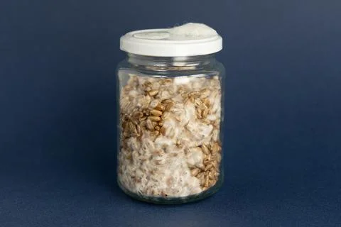 Mushroom Spawn. Jars of Grain Spawn. Close-up mycelium growth on Grain Spawn. Stock Photos