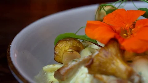 Mushroom starter close up Stock Footage 93930432